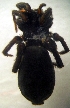  ( - CCDB-13330-C04)  @12 [ ] Copyright  E. Kuzmin 2011 Unspecified