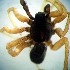  ( - CCDB-13330-C07)  @12 [ ] Copyright  E. Kuzmin 2011 Unspecified