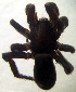  ( - CCDB-13330-F11)  @11 [ ] Copyright  E. Kuzmin 2011 Unspecified
