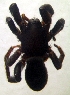  ( - CCDB-13330-G01)  @12 [ ] Copyright  E. Kuzmin 2011 Unspecified