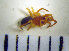  ( - STEP-8)  @12 [ ] Unspecified (default): All Rights Reserved  Unspecified Unspecified
