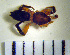  ( - STEP-32)  @12 [ ] Unspecified (default): All Rights Reserved  Unspecified Unspecified