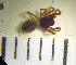  ( - STEP-56)  @12 [ ] Unspecified (default): All Rights Reserved  Unspecified Unspecified