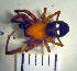  ( - STEP-58)  @12 [ ] Unspecified (default): All Rights Reserved  Unspecified Unspecified