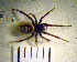  ( - STEP-61)  @12 [ ] Unspecified (default): All Rights Reserved  Unspecified Unspecified