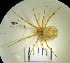  ( - STEP-74)  @14 [ ] Unspecified (default): All Rights Reserved  Unspecified Unspecified