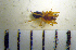  ( - STEP-94)  @12 [ ] Unspecified (default): All Rights Reserved  Unspecified Unspecified