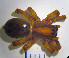  ( - LES-36)  @11 [ ] Unspecified (default): All Rights Reserved  Unspecified Unspecified