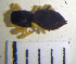  ( - LES-45)  @12 [ ] Unspecified (default): All Rights Reserved  Unspecified Unspecified