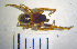  ( - LES-51)  @12 [ ] Unspecified (default): All Rights Reserved  Unspecified Unspecified