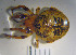  ( - LES-69)  @12 [ ] Unspecified (default): All Rights Reserved  Unspecified Unspecified