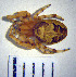  ( - LES-76)  @13 [ ] Unspecified (default): All Rights Reserved  Unspecified Unspecified