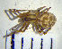  ( - LES-83)  @13 [ ] Unspecified (default): All Rights Reserved  Unspecified Unspecified