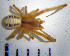  ( - STEP-104)  @12 [ ] Unspecified (default): All Rights Reserved  Unspecified Unspecified