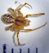  ( - STEP-106)  @12 [ ] Unspecified (default): All Rights Reserved  Unspecified Unspecified