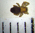  ( - STEP-110)  @12 [ ] Unspecified (default): All Rights Reserved  Unspecified Unspecified
