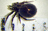  ( - STEP-132)  @12 [ ] Unspecified (default): All Rights Reserved  Unspecified Unspecified