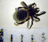  ( - STEP-133)  @13 [ ] Unspecified (default): All Rights Reserved  Unspecified Unspecified