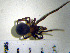  ( - STEP-134)  @12 [ ] Unspecified (default): All Rights Reserved  Unspecified Unspecified