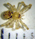  ( - GOR-16)  @12 [ ] Unspecified (default): All Rights Reserved  Unspecified Unspecified