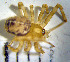  ( - GOR-18)  @12 [ ] Unspecified (default): All Rights Reserved  Unspecified Unspecified