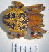  ( - LES-110)  @13 [ ] Unspecified (default): All Rights Reserved  Unspecified Unspecified