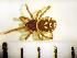  ( - STEP-157)  @12 [ ] Unspecified (default): All Rights Reserved  Unspecified Unspecified