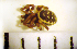  ( - STEP-158)  @12 [ ] Unspecified (default): All Rights Reserved  Unspecified Unspecified
