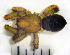  ( - STEP-170)  @12 [ ] Unspecified (default): All Rights Reserved  Unspecified Unspecified
