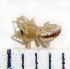  ( - STEP-204)  @12 [ ] Unspecified (default): All Rights Reserved  Unspecified Unspecified