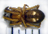  ( - STEP-233)  @11 [ ] Unspecified (default): All Rights Reserved  Unspecified Unspecified