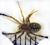  ( - STEP-250)  @12 [ ] Unspecified (default): All Rights Reserved  Unspecified Unspecified