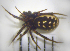  ( - STEP-253)  @13 [ ] Unspecified (default): All Rights Reserved  Unspecified Unspecified