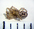  ( - STEP-254)  @12 [ ] Unspecified (default): All Rights Reserved  Unspecified Unspecified