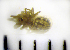  ( - STEP-256)  @12 [ ] Unspecified (default): All Rights Reserved  Unspecified Unspecified