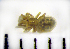  ( - STEP-259)  @12 [ ] Unspecified (default): All Rights Reserved  Unspecified Unspecified