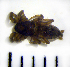  ( - STEP-286)  @12 [ ] Unspecified (default): All Rights Reserved  Unspecified Unspecified