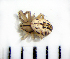  ( - STEP-352)  @12 [ ] Unspecified (default): All Rights Reserved  Unspecified Unspecified