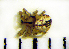  ( - STEP-354)  @12 [ ] Unspecified (default): All Rights Reserved  Unspecified Unspecified