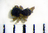  ( - STEP-368)  @12 [ ] Unspecified (default): All Rights Reserved  Unspecified Unspecified