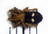 ( - STEP-384)  @12 [ ] Unspecified (default): All Rights Reserved  Unspecified Unspecified
