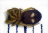  ( - STEP-385)  @12 [ ] Unspecified (default): All Rights Reserved  Unspecified Unspecified
