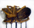  ( - STEP-388)  @12 [ ] Unspecified (default): All Rights Reserved  Unspecified Unspecified