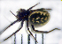  ( - STEP-456)  @12 [ ] Unspecified (default): All Rights Reserved  Unspecified Unspecified