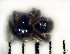  ( - STEP-457)  @12 [ ] Unspecified (default): All Rights Reserved  Unspecified Unspecified
