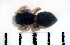  ( - STEP-474)  @12 [ ] Unspecified (default): All Rights Reserved  Unspecified Unspecified