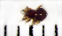  ( - STEP-490)  @13 [ ] Unspecified (default): All Rights Reserved  Unspecified Unspecified