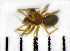 ( - STEP-491)  @13 [ ] Unspecified (default): All Rights Reserved  Unspecified Unspecified