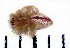  ( - STEP-508)  @12 [ ] Unspecified (default): All Rights Reserved  Unspecified Unspecified