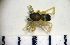  ( - CCDB-06303-A06)  @12 [ ] Copyright  Y. Alekseenko 2011 Unspecified